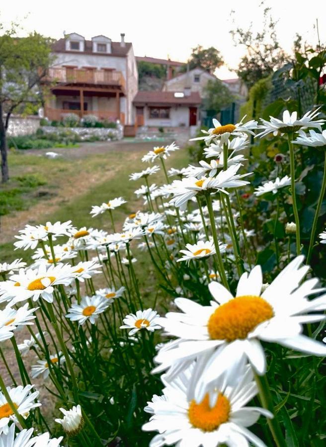 Alojamiento Gaia Aldeasona Bagian luar foto